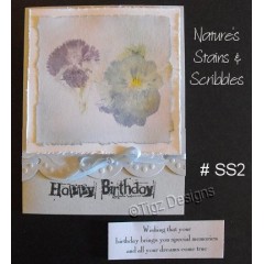 Nature's Stains & Scribbles Greeting Cards - SS2